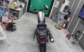 HONDA REBEL 250 A 2009 MC49