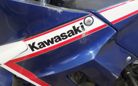 KAWASAKI GPX250R EX250E