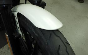 HARLEY XL883N 2017