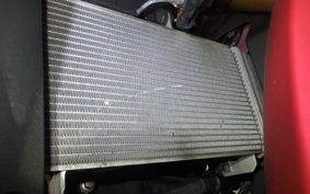 YAMAHA YZF-R25 A 2007 RG43J