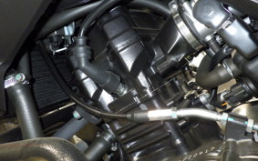 SUZUKI V-STROM 250 2009