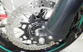 KAWASAKI KLX250D TRACKER X 2025 LX250V