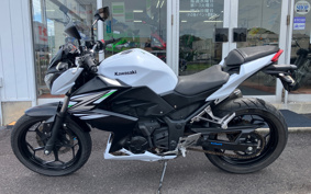 KAWASAKI Z250 ER250C