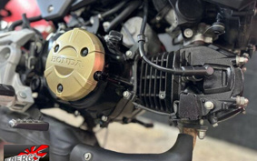 HONDA GROM 2017 JC75