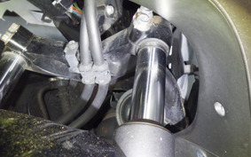 HONDA FAZE MF11