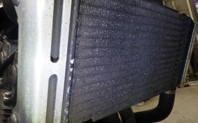 HONDA HORNET 250 2001 MC31