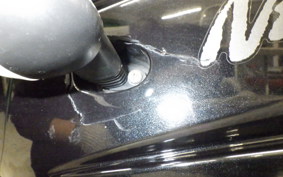 KAWASAKI NINJA 250R 2009 EX250K