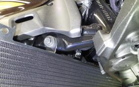 KAWASAKI Z900RS 2025 ZR900K