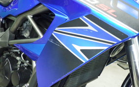 KAWASAKI Z250 SL 2021 BR250E