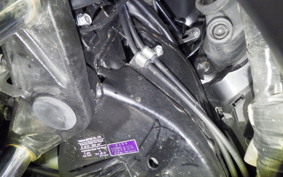 YAMAHA X-MAX 250 2023 SG70J