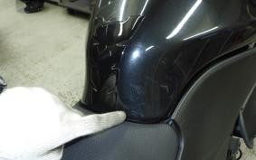 KAWASAKI NINJA 250R 2021 EX250K