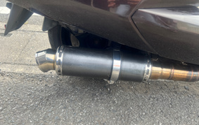 YAMAHA MAXAM 250 SG21J