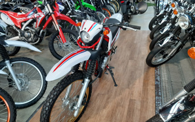 YAMAHA  SEROW 250 FINAL ED DG31J