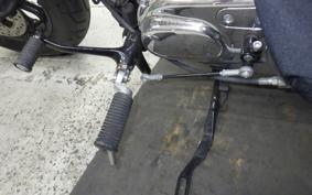 HARLEY XL1200XS 2019