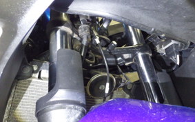 KAWASAKI NINJA 250 ABS 2009 EX250L