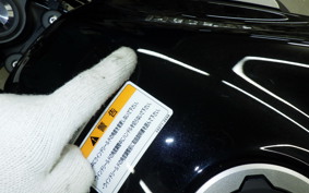 KAWASAKI NINJA 1000 SX 2024