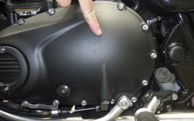 TRIUMPH BONNEVILLE T100 2025