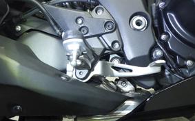 KAWASAKI NINJA 1000SX 2024 ZXT02K