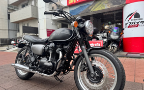 KAWASAKI W800 STREET 2021 EJ800B