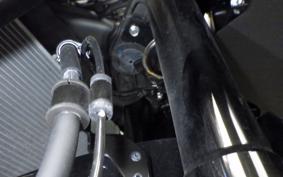 KAWASAKI ZX-25R 2024 ZX250E