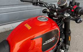 HARLEY  HARLEY X500 2024 W5B