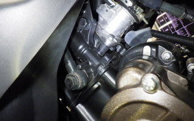 SUZUKI ｼﾞｸｻｰ250SF 2025 ED22B