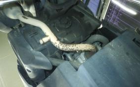 YAMAHA JOG Gen.5 SA36J