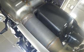 TRIUMPH TRIDENT 660 2026