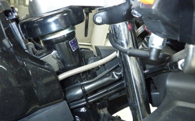 SUZUKI GSX-R125 2006 DL33B