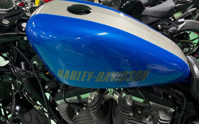 HARLEY XL1200CX 2019 LM3