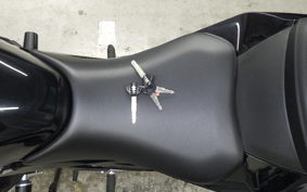 SUZUKI GSX250 R 2012