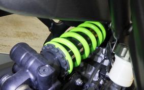 KAWASAKI ZX-4RR 2024 ZX400P