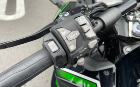 KAWASAKI NINJA 1000SX 2023 ZXT02K