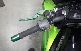 KAWASAKI NINJA 1000 2011
