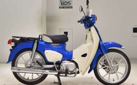 HONDA C110 SUPER CUB