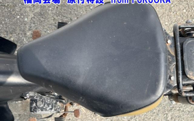 OTHER  LITTLE CUB -E FI