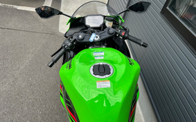 KAWASAKI NINJA ZX-6R KRT ED 2024 ZX636J