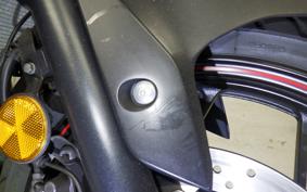 YAMAHA YZF-R3 2017 RH07J