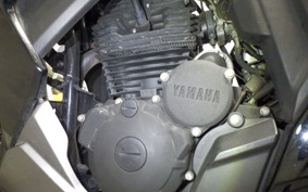 YAMAHA FAZER 250