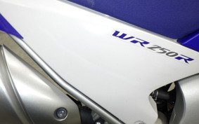 YAMAHA WR250R 2018 DG15J