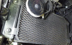 SUZUKI Vｽﾄﾛｰﾑ250A 2026