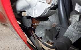 YAMAHA FZR250 Gen.2 R 3LN