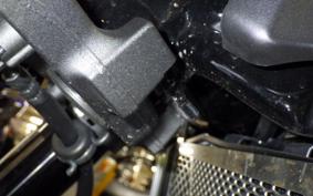 KAWASAKI Z900RS 2024 ZR900K