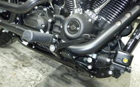 HARLEY FXLRST1920 2025