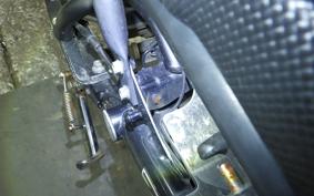 HONDA ZOOMER 2019 AF58