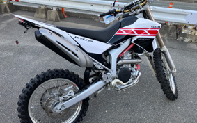YAMAHA WR250R DG15J