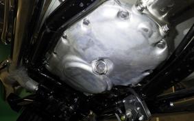 KAWASAKI W800 2025 EJ800E