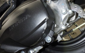 HONDA DUNK AF78