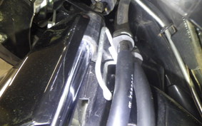 HONDA LEAD 110 2024 JF19