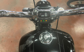 HARLEY  HARLEY FXBRS 2021 YHK